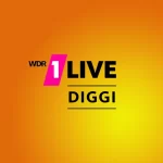 1LIVE diggi radio online